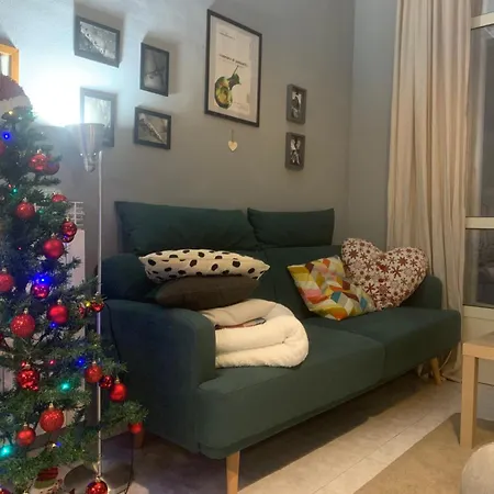 Anghel House Apartment *